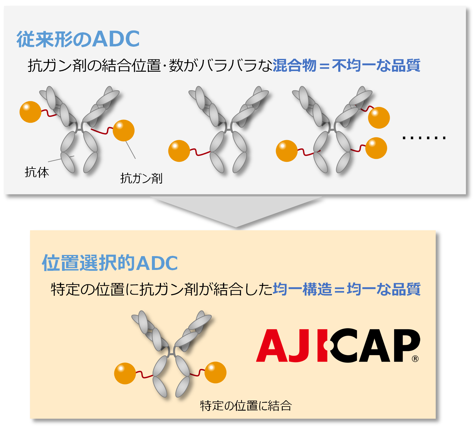 従来型のADCと位置選択的ADC