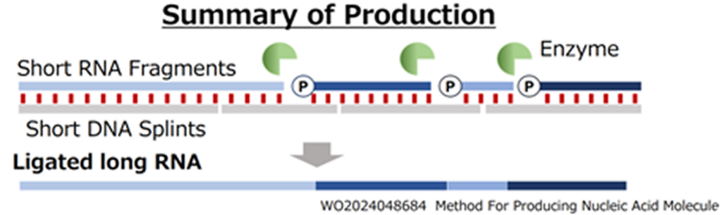 RNA Production