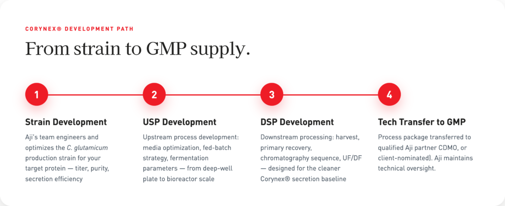 CORYNEX Development Path
